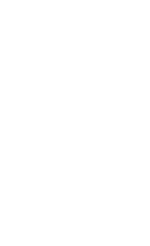 The Fund of Her Highness Shaikha Moza bint Hamad Al Khalifa